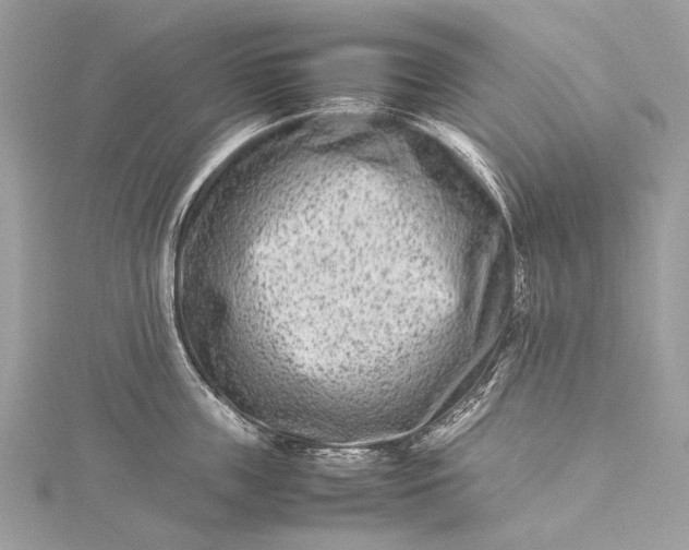 X0000115540859200911201738