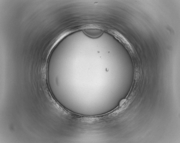 X0000115540860200911201738