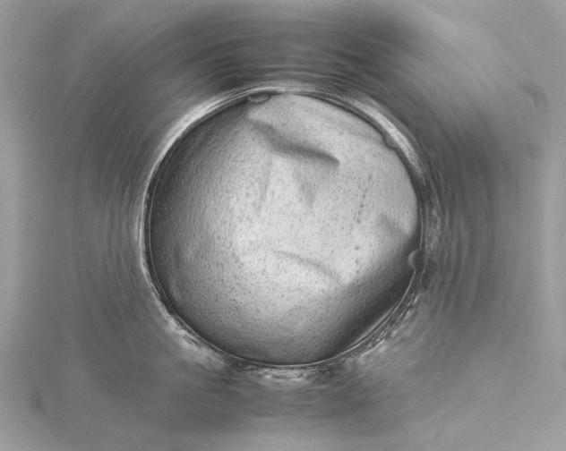 X0000115540861200911201738