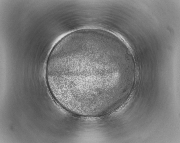 X0000115540862200911201738