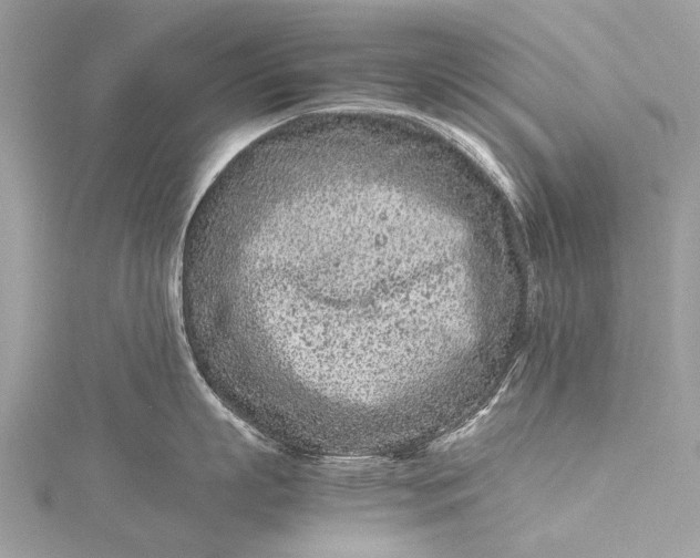 X0000115540863200911201738