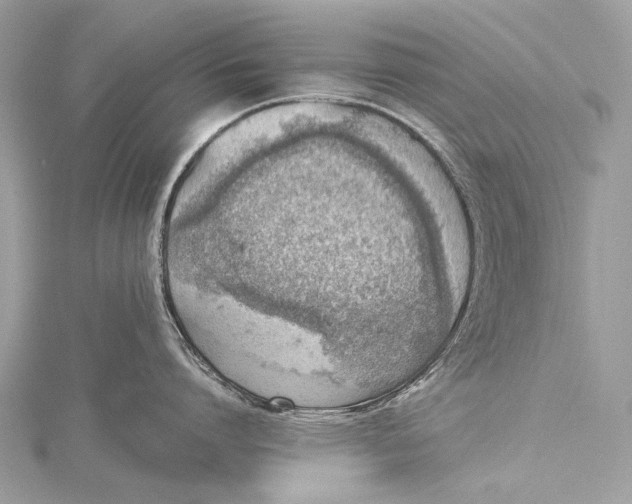 X0000115540864200911201738