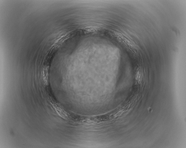 X0000115540868200911201738