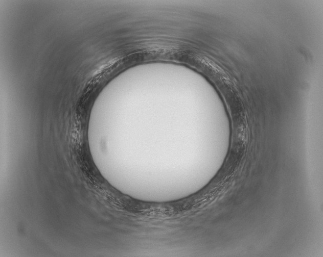 X0000115540869200911201738