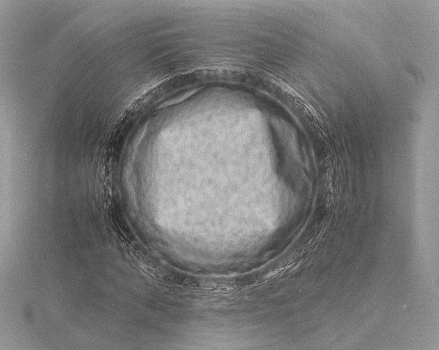 X0000115540870200911201737