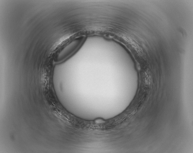 X0000115540872200911201737