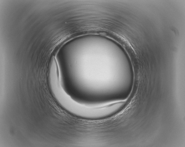 X0000115540873200911201737