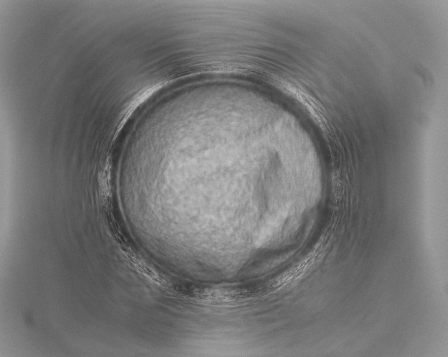 X0000115540875200911201737