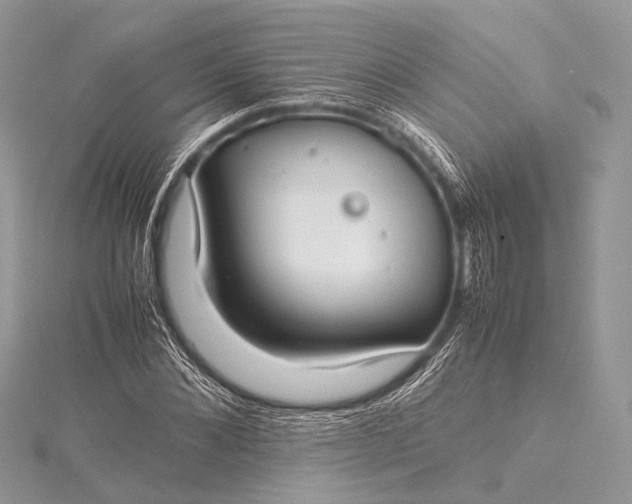 X0000115540876200911201737