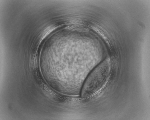 X0000115540877200911201737