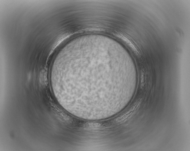 X0000115540878200911201737