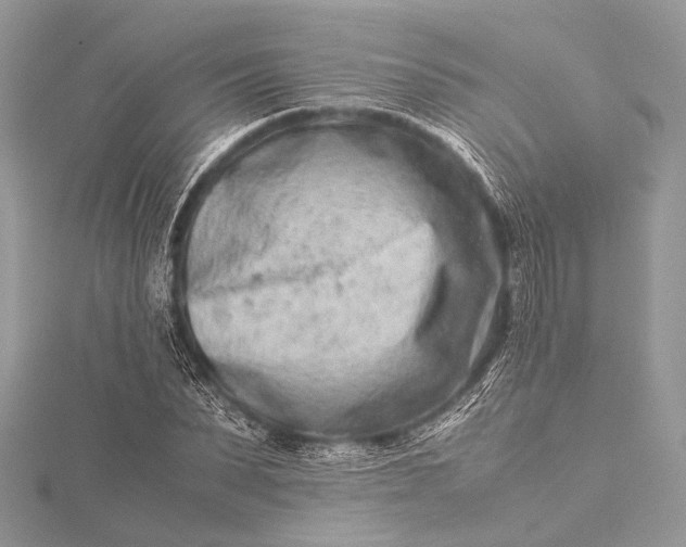 X0000115540879200911201737