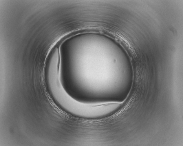 X0000115540880200911201737