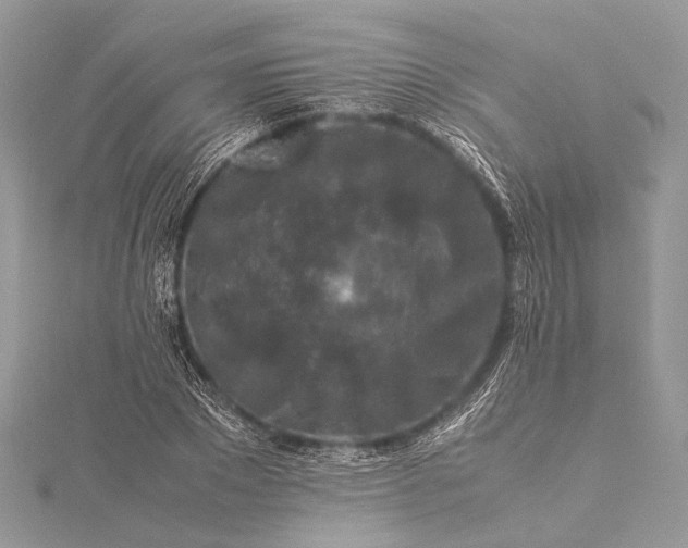 X0000115540881200911201737