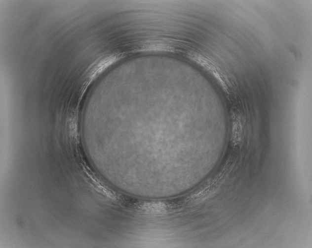 X0000115540882200911201737