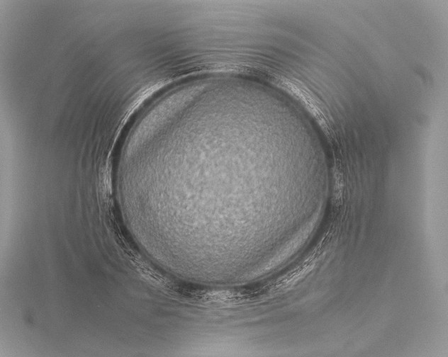 X0000115540883200911201737