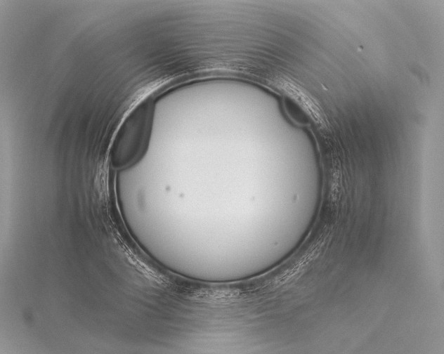 X0000115540884200911201737