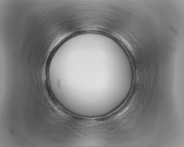 X0000115540885200911201737