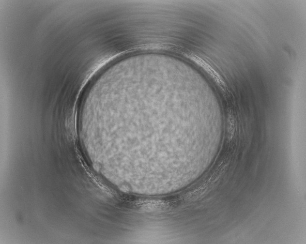 X0000115540886200911201737