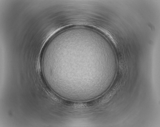 X0000115540887200911201737