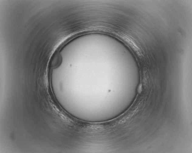 X0000115540888200911201737