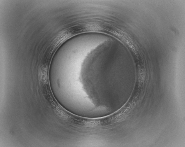 X0000115540889200911201737