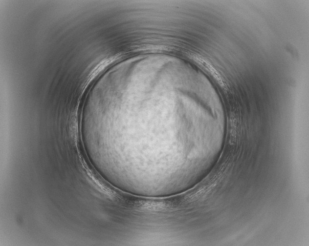 X0000115540890200911201737