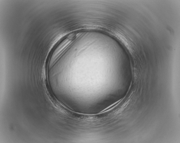 X0000115540891200911201737