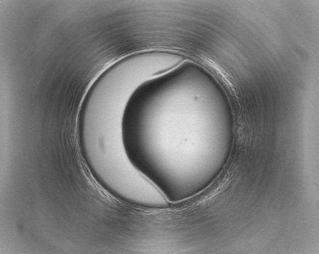 X0000115540892200911201737