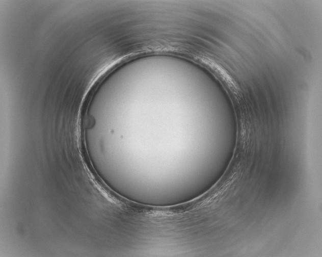 X0000115540894200911201737