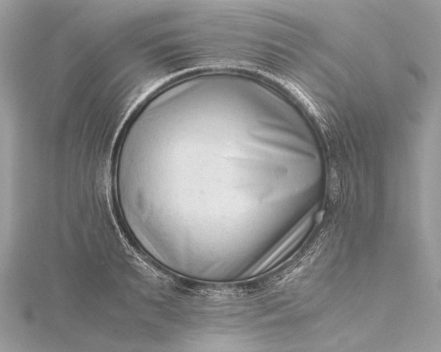 X0000115540895200911201737