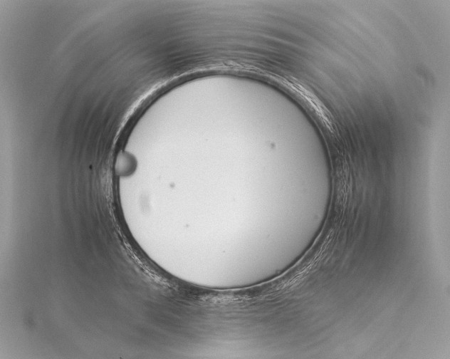 X0000115540896200911201737