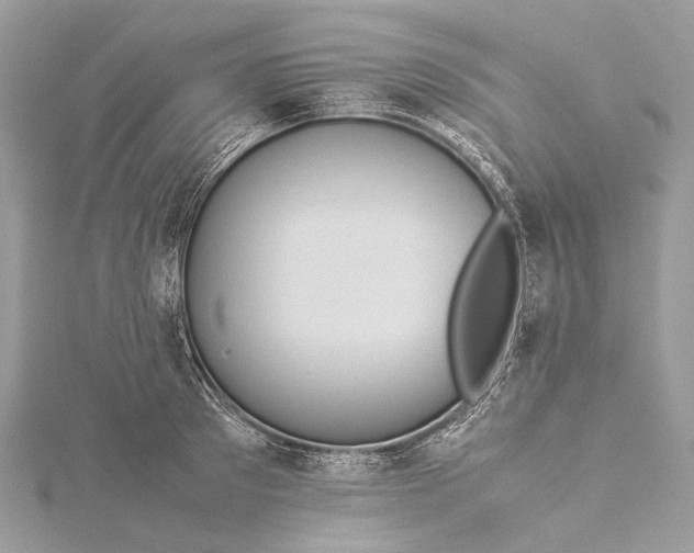 X0000115540897200911201737