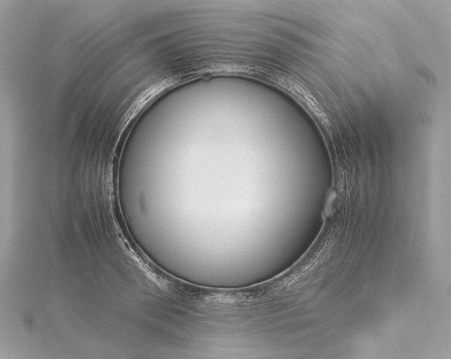 X0000115540898200911201737