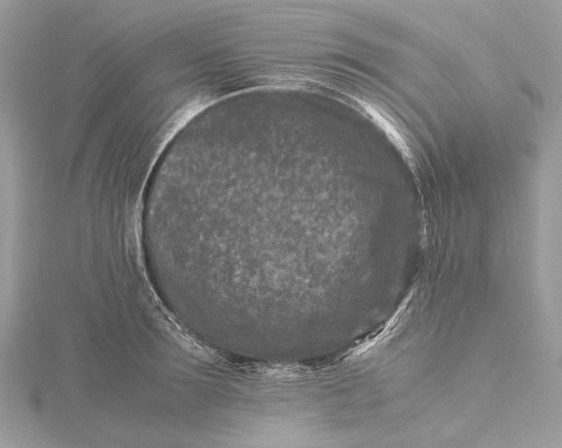 X0000115540899200911201737