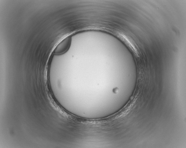 X0000115540900200911201737