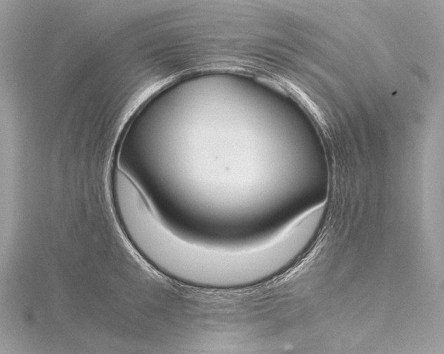 X0000115540901200911201737