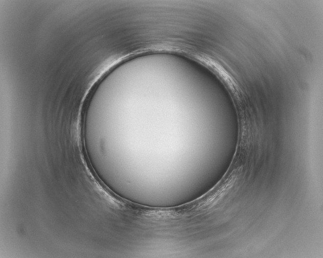 X0000115540902200911201737