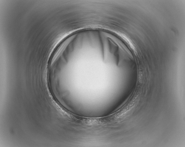 X0000115540903200911201737