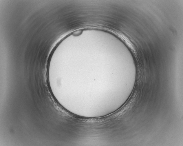 X0000115540904200911201737