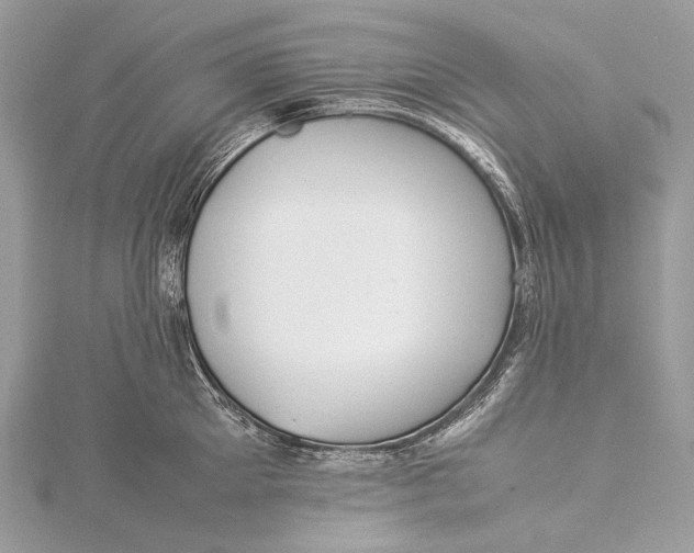 X0000115540905200911201737