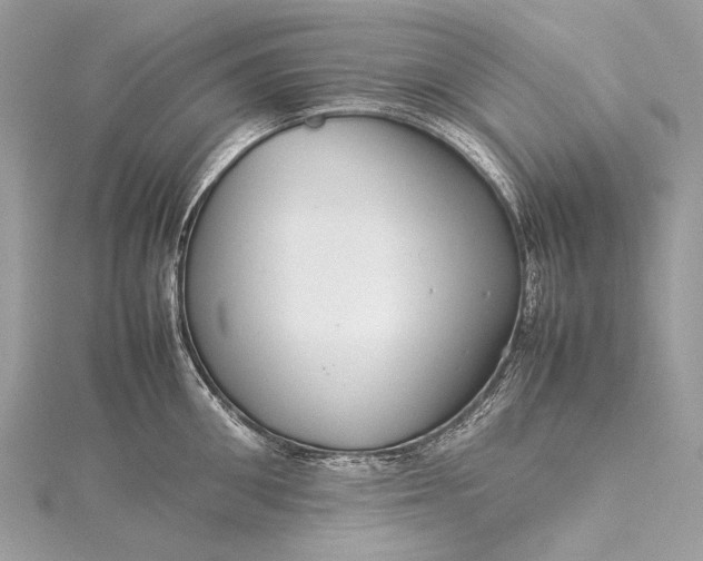 X0000115540906200911201737