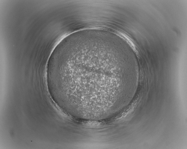 X0000115540907200911201737