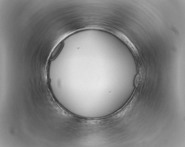 X0000115540908200911201737