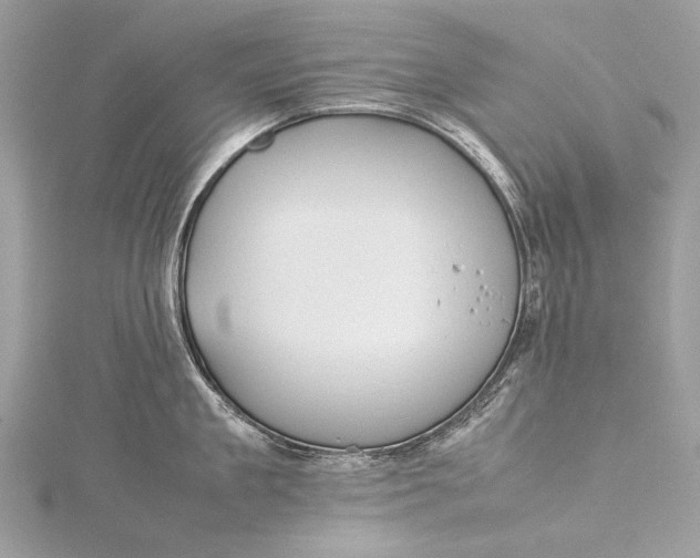 X0000115540909200911201737