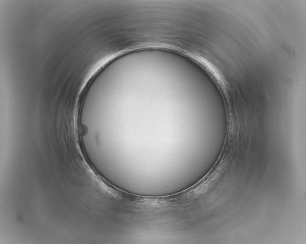 X0000115540910200911201737