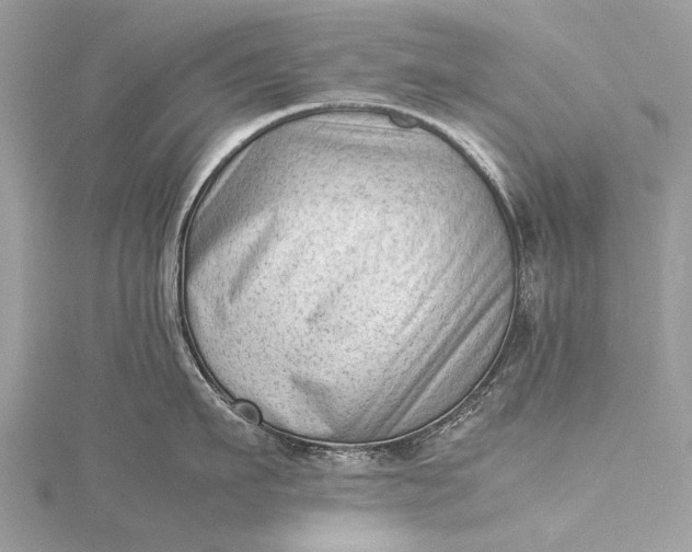 X0000115540911200911201737