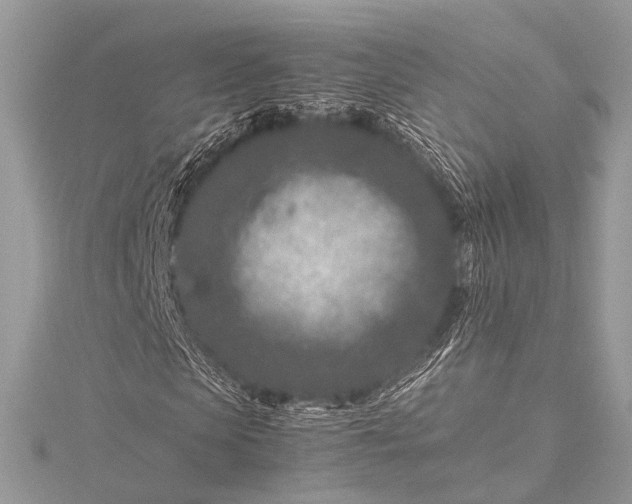 X0000115540913200911201736