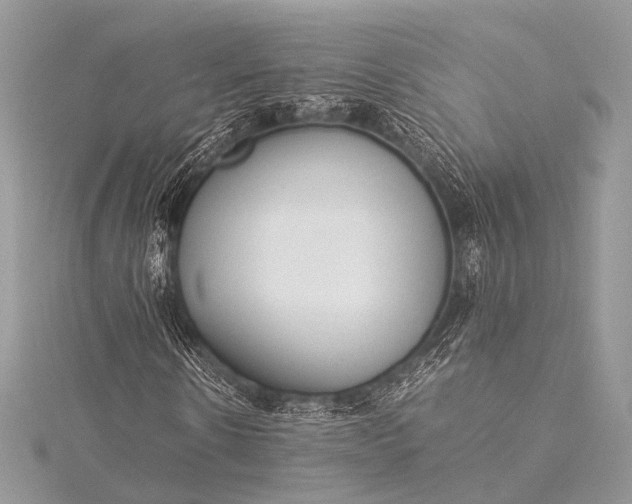 X0000115540914200911201736