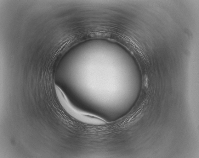 X0000115540915200911201736